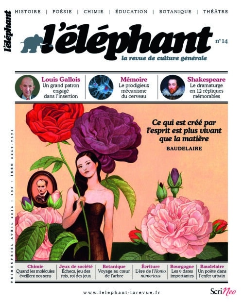L'éléphant 14