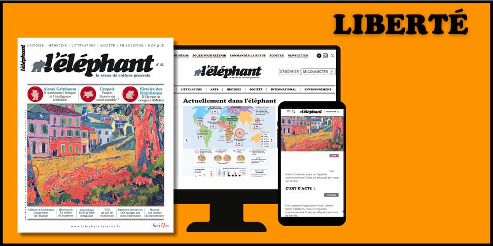 Abonnements à la revue en mode liberté