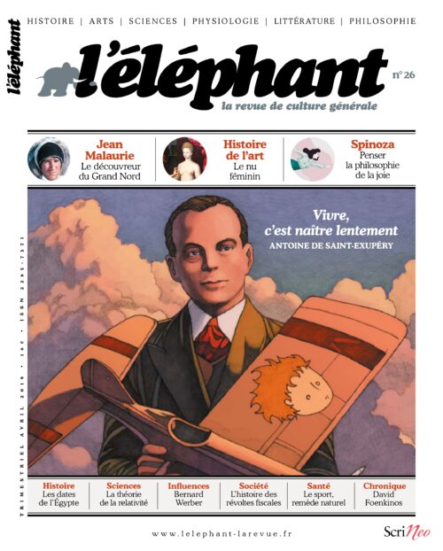 L'éléphant 26