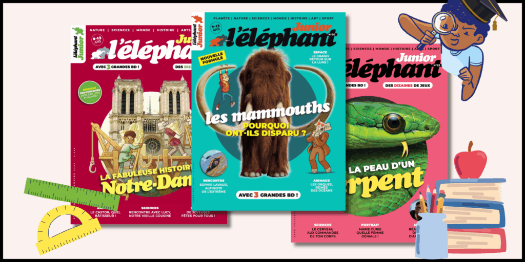 Abonnement enseignant / bibliothèque / médiathèque