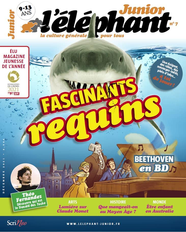 l’éléphant junior n°7 – décembre 2021