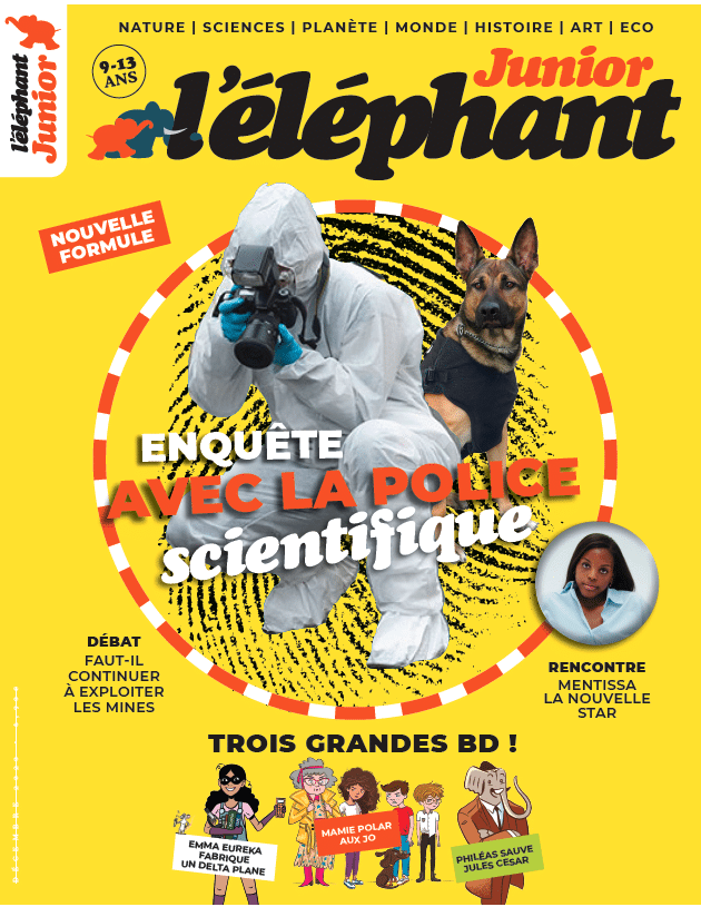 L'éléphant junior n°18