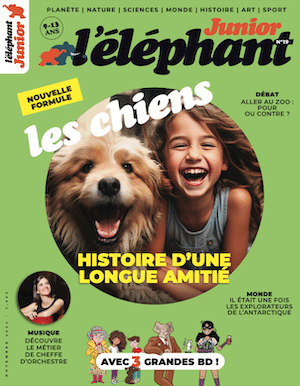 L'éléphant junior n°19