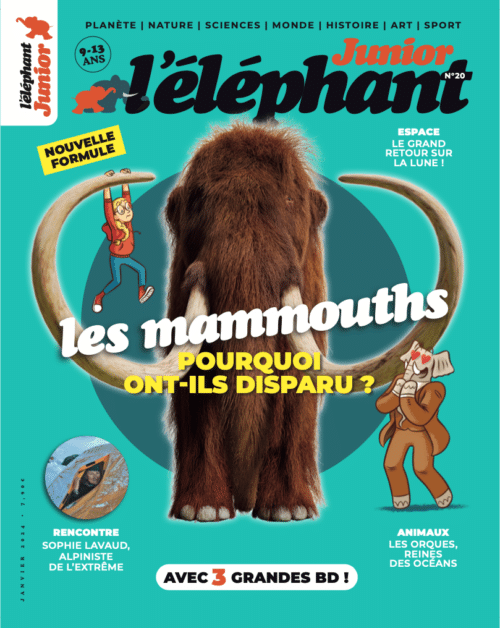 Couverture de l'éléphant junior n°19