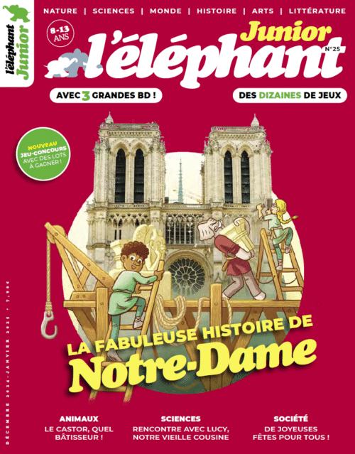 L’éléphant junior n°25