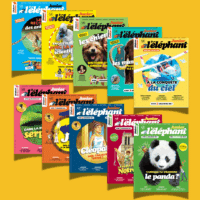 Coffret 10 numéros - n°17 au n°27 de l'éléphant junior