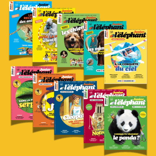Coffret 10 numéros - n°17 au n°27 de l'éléphant junior