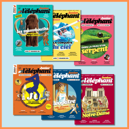 Coffret 2023 - l'éléphant junior