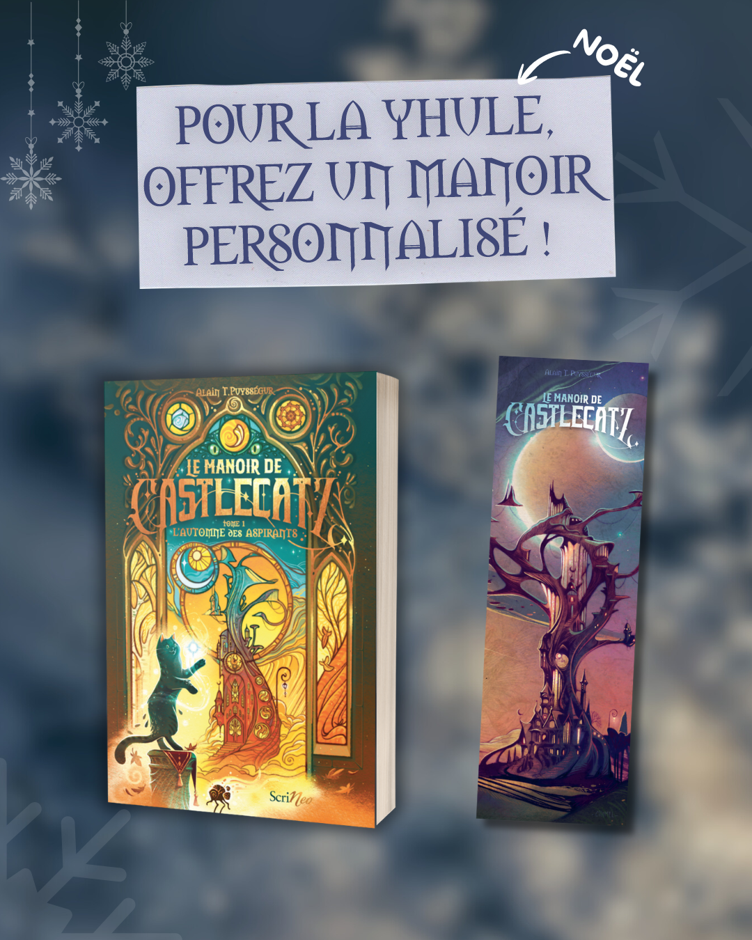 Pour Noël, faites découvrir Le Manoir de Castlecatz ! 🎄