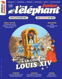 L’éléphant junior n°33