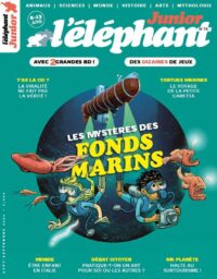 L’éléphant Junior n°35